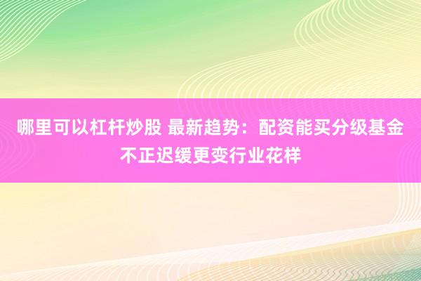 哪里可以杠杆炒股 最新趋势：配资能买分级基金不正迟缓更变行业花样