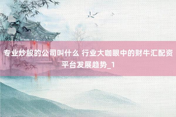专业炒股的公司叫什么 行业大咖眼中的财牛汇配资平台发展趋势_1